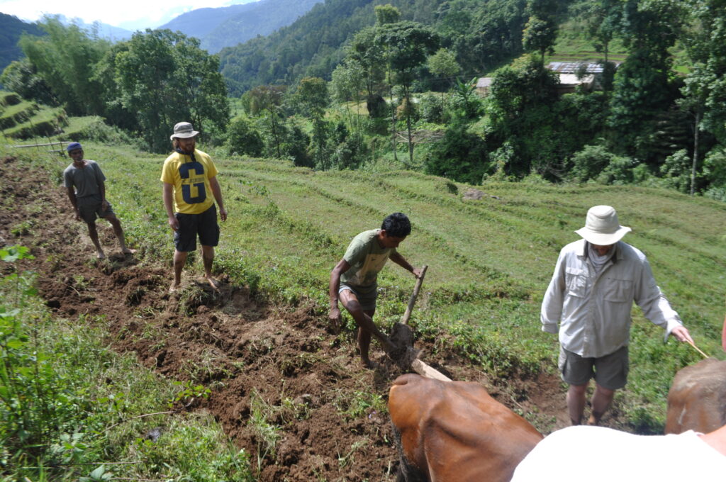 Students working in field during study abroad trip